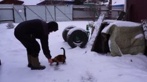 На последнюю пенсию купили рыбу, коптим её в деревне Домашнее хозяйство и преданный кот УЖИН В СЕЛЕ