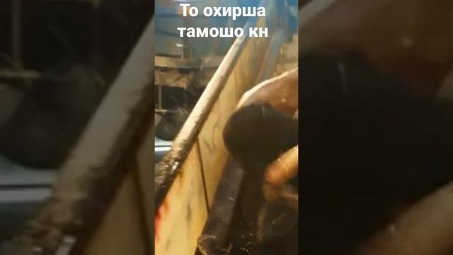 Поезд в пусана смотреть онлайн