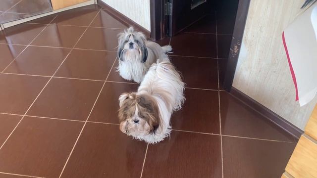 Уборка номеров смотреть онлайн