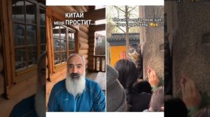 В китайском храме Сиюань завелась новая традиция – давать пять пушистому хозяину храма