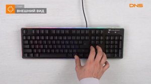 Распаковка клавиатуры Cougar Core EX / Unboxing Cougar Core EX