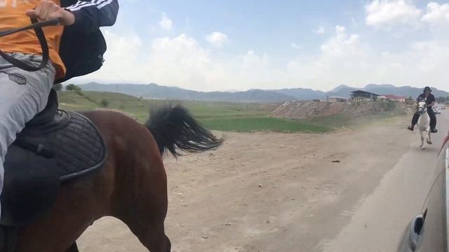 Yorga Atlar Satelit (Gence). смотреть онлайн