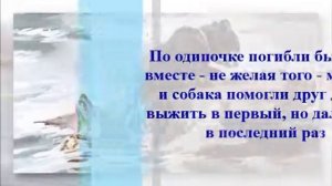 Буктрейлер по книге Джеймса Оливера Кервуда "Бродяги Севера".