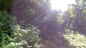 город ПУЩИНО за 7 минут