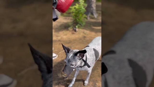 8 февраля 2024 г.