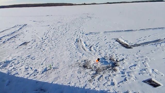 VID_20250222_105101.mp4