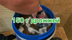 Яблочная брага