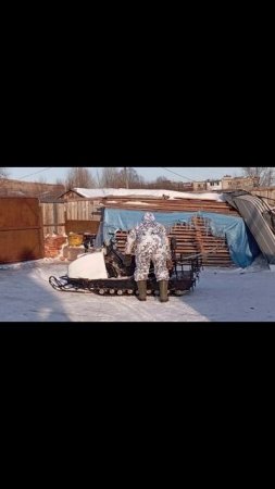 За лосем (песня)