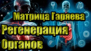 Матрица Гаряева – Регенерация органов. Частоты ЗДОРОВЬЯ И исцеления