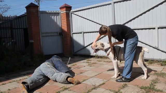 Питомник Мерлови. Мерлови Аладжа. Обрыв цепи. смотреть онлайн