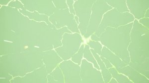 ЗВЁЗДНЫЕ ВОЙНЫ Тарон Маликос