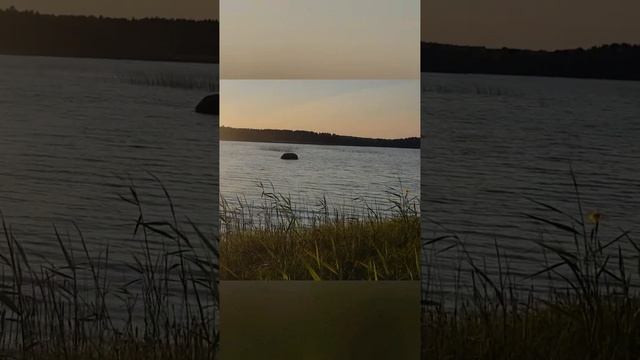 Отдых с друзьями 2023 год июнь смотреть онлайн