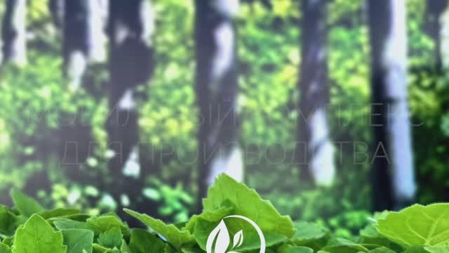 ВЫРАЩИВАНИЕ БЫСТРОРАСТУЩИХ ДЕРЕВЬЕВ