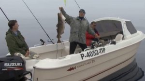 Лодки Smartliner