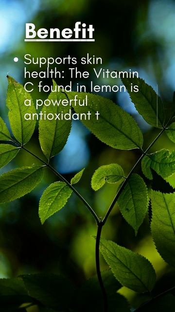 Benefit of Lemon #vegan #healthy #Diet смотреть онлайн