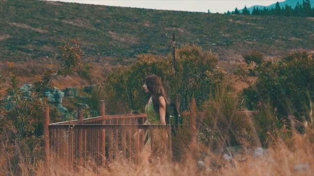 Cinematic luts for premiere pro I Cinematic luts I WHOMADETHISDESIGN смотреть онлайн