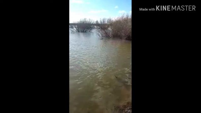 РЫБАЛКА 2019ОТПУСКАЕМ РЫБУАРХИВ 2019