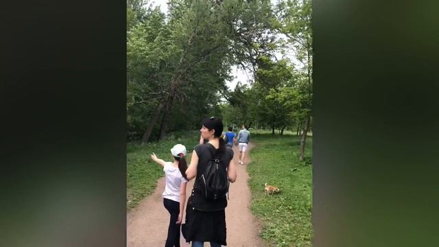 Парк Питера