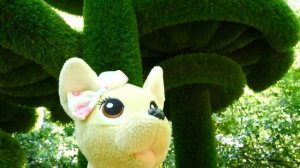 Игры с Беби Бон Как мама — Эмили и альпаки в парке развлечений! Весёлые видео для детей