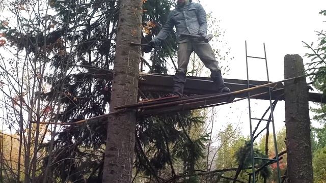 Заброшенный канал. Сосна) смотреть онлайн