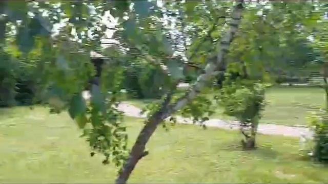 НАКОНЕЦ НАШЛИ ТУАЛЕТ смотреть онлайн