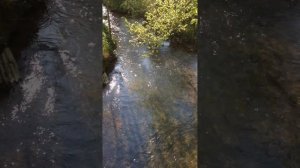 What is this life if, full of care, we have no time to stop & stare