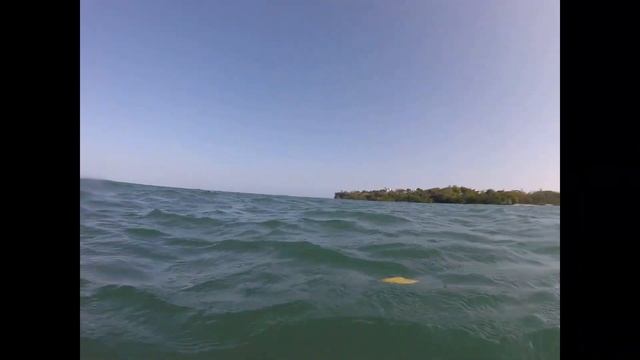 55 рыба на пляже + кенийский лес смотреть онлайн