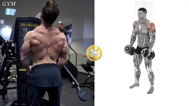 Yelka Chiqarish Uchun asosiy 10 Mashiq / Гавда чикариш усуллари топ 10 смотреть онлайн