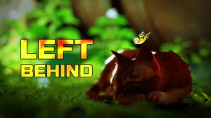 Left Behind🐈 [Stray GMV] [2025]