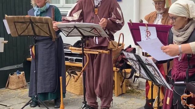 Stadtmauerfest в Нёрдлингене. 2022. Атмосфера средневековья, костюмы, мнение