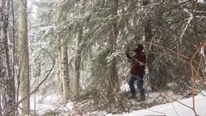 Fiskars Machete Product Review