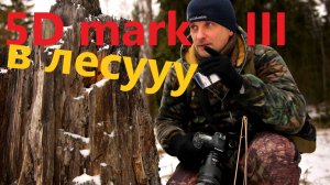 в лес с 5Dmarklll / нашёл избу / снято на canon eos M