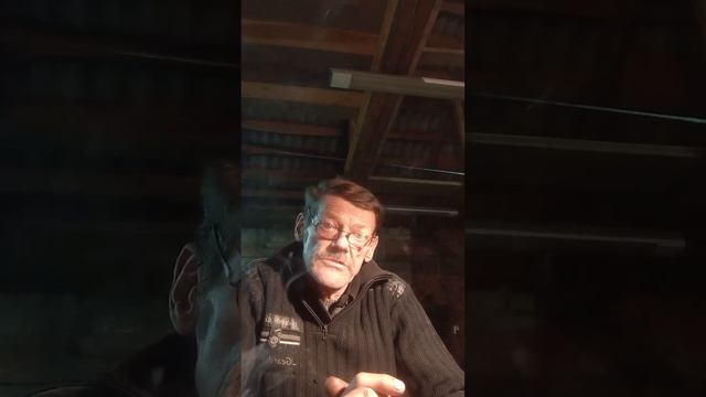 24 октября 2023 г. смотреть онлайн