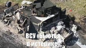 ВСУ «Бьются в истерике». Сводки от МО, СМИ, Юрий Подоляка, Война на Украине. 13.03.25