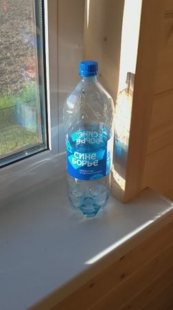 Синеборье