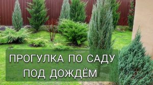 ПРОГУЛКА ПО САДУ ПОД ДОЖДЁМ. 13.03.2025г.