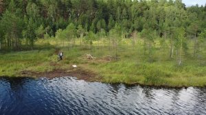 Прекрасное место для рыбалки на болоте.