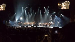 Концерт Гагариной в Кремле