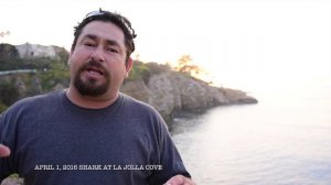 Shark at La Jolla Cove
