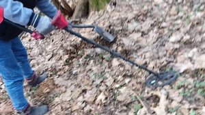 копаем металлоискатель