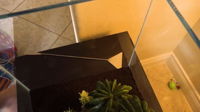 Our FIVE YEAR OLD Decorates His FISH TANK! 🐠 смотреть онлайн