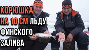 Корюшка на 10 см льду Финского залива.