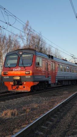 приветливая ЭД4М-0229 по съезду едет в Сандарово