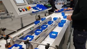 ARCO линия по подбору веса, грибы.