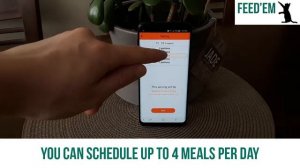 How to use Automatic Feeding | Smart Pet Feeder by FEED'EM