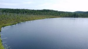 Карелия, Уросозеро. Август 2022.