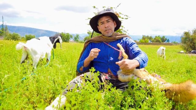 Pensaba que era su pañuelo, pero era el calzón de su Amante🤣💕 смотреть онлайн