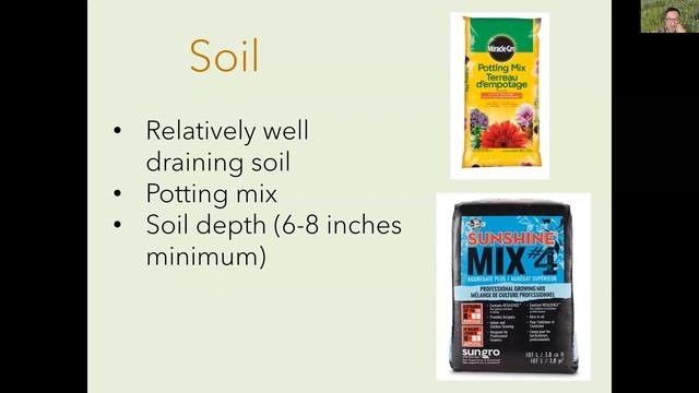 Growing Fabulous Herbs in your Home or Garden Webinar смотреть онлайн