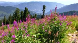 ,,Малое кольцо Алтая,, республика Алтай 5 день Артыбаш