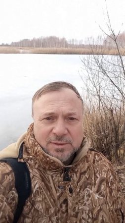 Вена наступила, кажется...